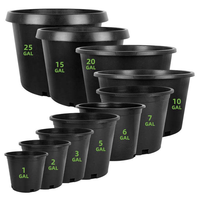 Seed starter kit with biodegradable pots, propagation trays, labels and soil pellets on a white background.